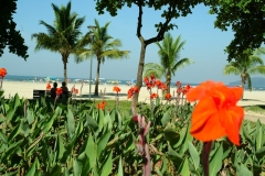 public://field/image/jardins da praia-Ademir Henrique.jpg